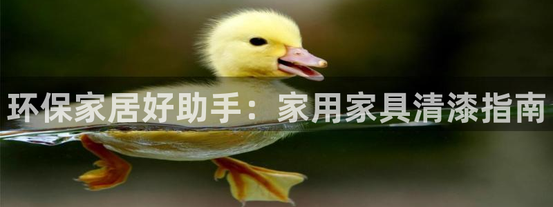 杏耀官网登陆