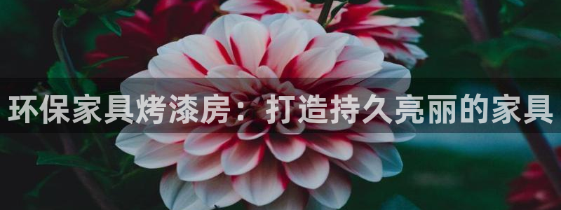 杏耀代理官网