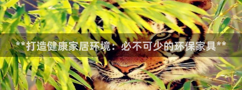 杏耀总代