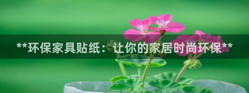 杏耀代理日工资多少