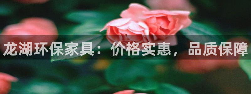 杏耀平台分红
