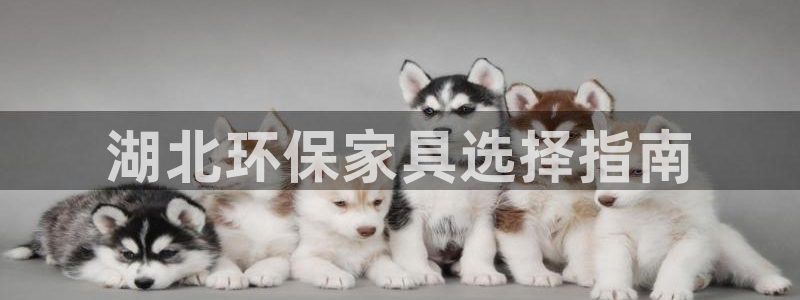 杏耀测速网址电脑版