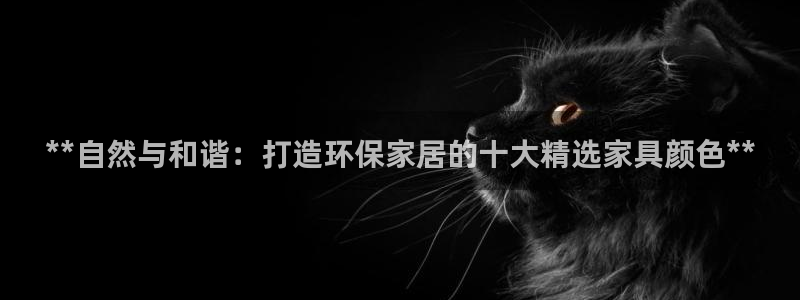 杏耀代理日工资多少