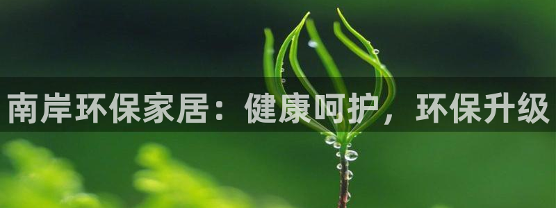 杏耀主管qq