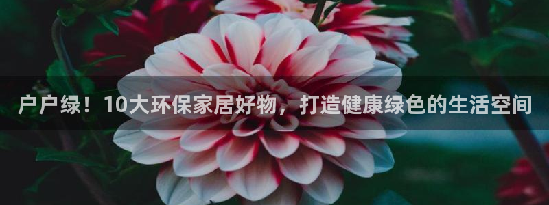 杏耀官方娱乐