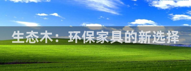 杏耀软件