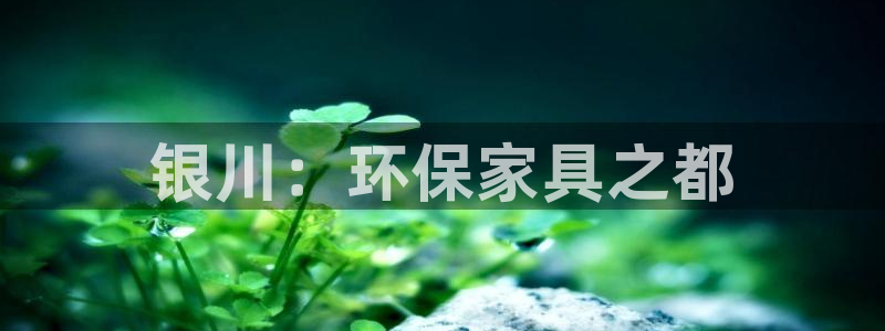 杏耀代理1980