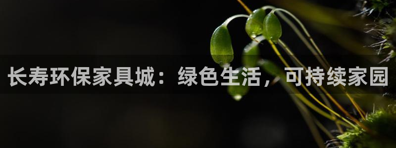 杏耀平台没有了