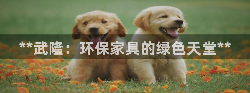 杏耀平台代理怎么赚钱的
