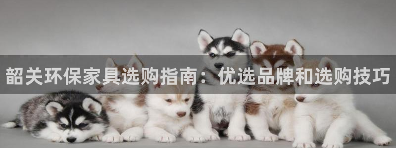 杏耀平台注册网址