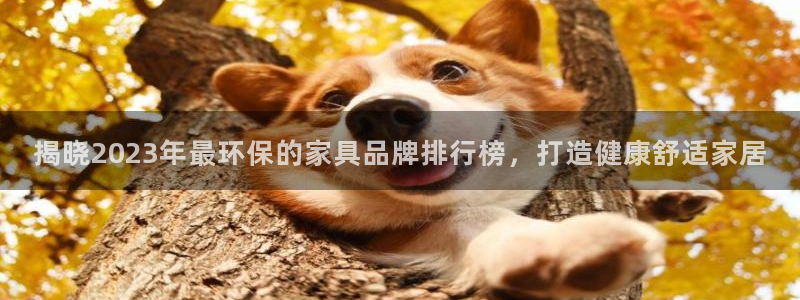 杏耀平台官方网站下载