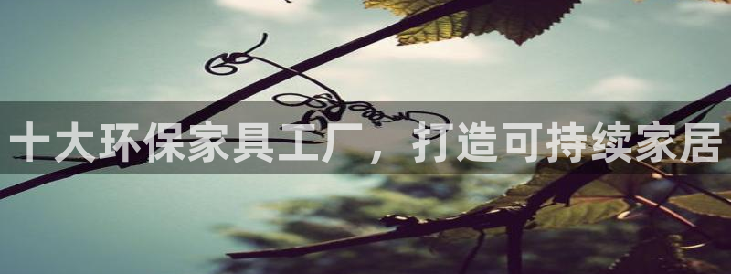杏耀平台服务中心怎么样