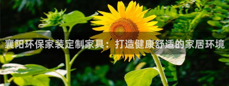 杏耀平台服务中心是干嘛的
