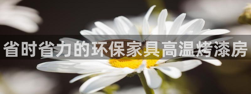 杏耀平台还在吗