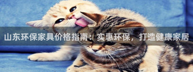 杏耀测速注册：山东环保家具价格指南：实惠环保，打造健康家居