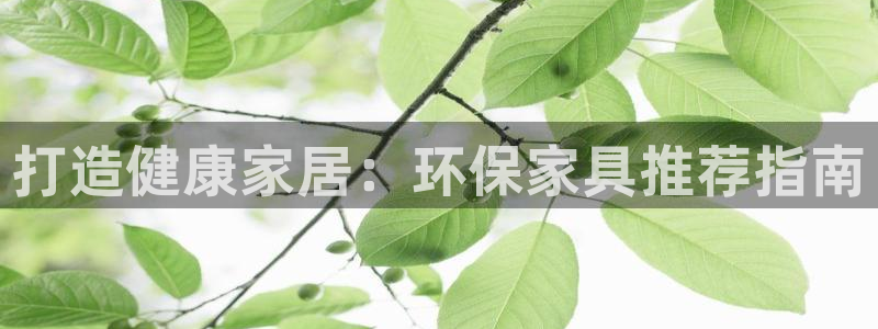 杏耀注册链接：打造健康家居：环保家具推荐指南