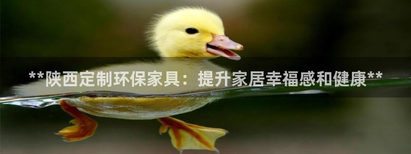 杏耀登录测速：**陕西定制环保家具：提升家居幸福感和健康**