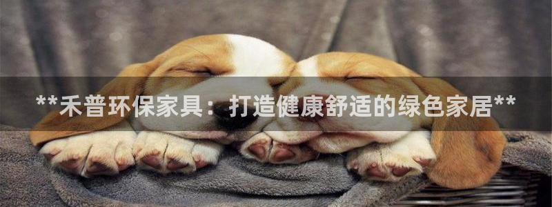 杏耀平台代理怎么赚钱：**禾普环保家具：打造健康舒适的绿色家