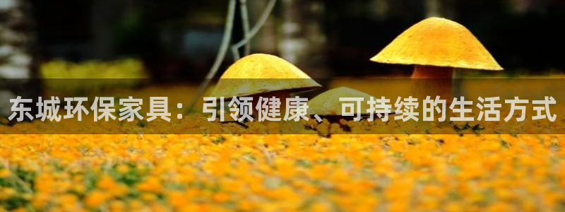 杏耀平台代理登录网址是多少：东城环保家具：引领健康、可持续的
