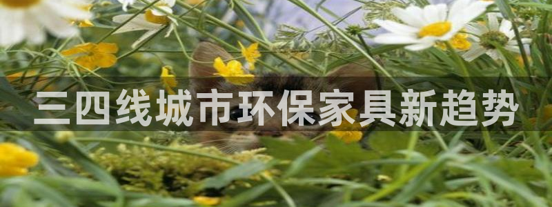 杏耀平台官网