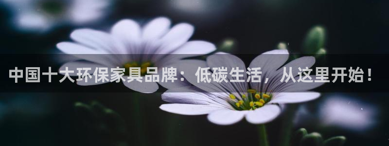 杏耀官网娱乐：中国十大环保家具品牌：低碳生活，从这里开始！