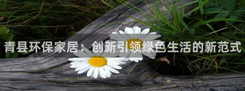 杏耀平台登录方式：青县环保家居：创新引领绿色生活的新范式