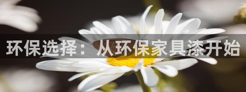 杏耀平台注册入口：环保选择：从环保家具漆开始