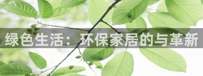杏耀登陆网站：绿色生活：环保家居的与革新