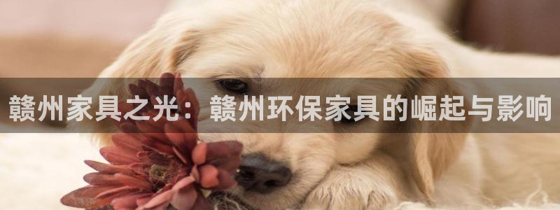 杏耀平台登陆官网：赣州家具之光：赣州环保家具的崛起与影响