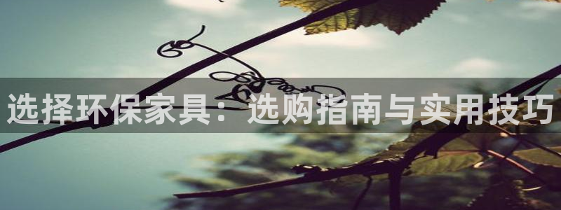 杏耀平台线路测试