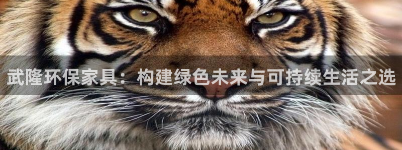 杏耀平台到底能玩吗：武隆环保家具：构建绿色未来与可持续生活之