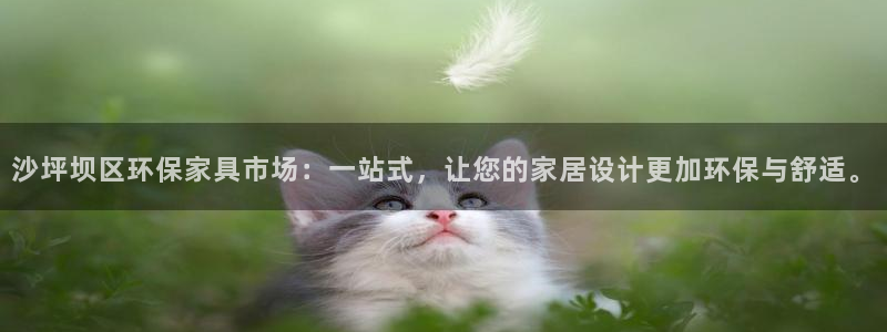 杏耀3注册：沙坪坝区环保家具市场：一站式，让您的家居设计更加