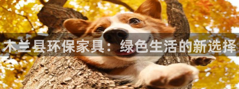 杏耀登陆网站：木兰县环保家具：绿色生活的新选择