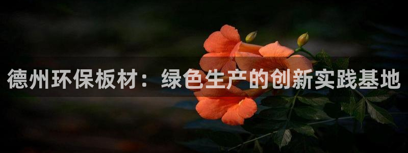 杏耀总代理：德州环保板材：绿色生产的创新实践基地