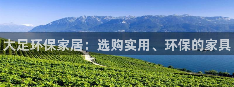 杏耀手机网页登录入口：大足环保家居：选购实用、环保的家具