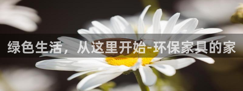 杏耀平台线路测试：绿色生活，从这里开始-环保家具的家