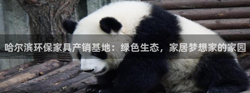 杏耀平台手机登录：哈尔滨环保家具产销基地：绿色生态，家居梦想