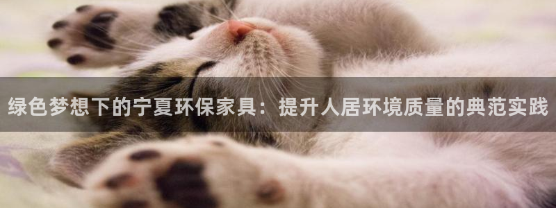 杏耀平台官网下载：绿色梦想下的宁夏环保家具：提升人居环境质量