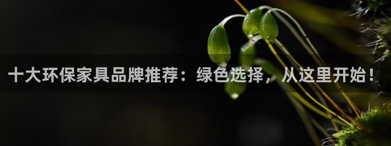 杏耀平台几年了：十大环保家具品牌推荐：绿色选择，从这里开始！