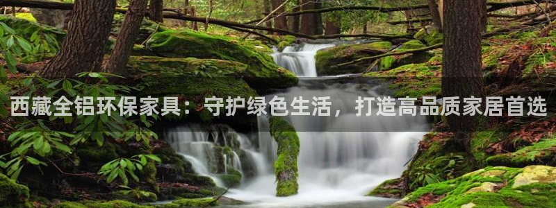 杏耀平台代理登录网址是多少：西藏全铝环保家具：守护绿色生活，