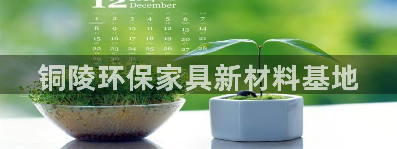 杏耀平台注册入口：铜陵环保家具新材料基地