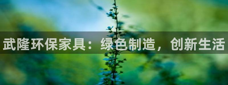 杏耀测速注册：武隆环保家具：绿色制造，创新生活