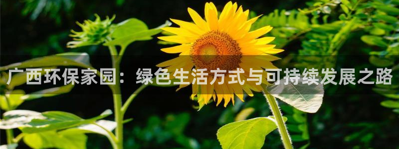 杏耀平台线路测试