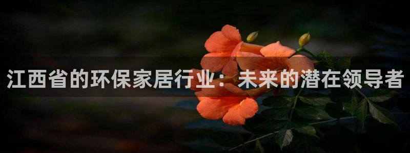 杏耀平台服务中心是干嘛的