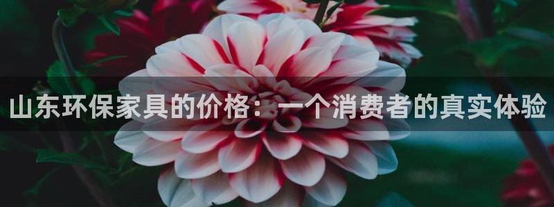 杏耀平台娱乐登陆：山东环保家具的价格：一个消费者的真实体验