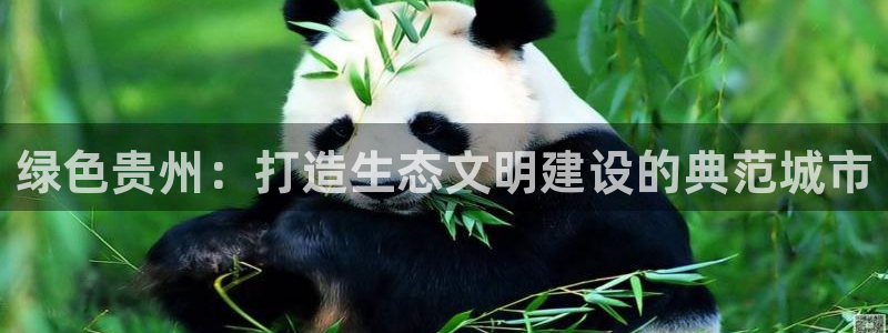 杏耀代理主管qq：绿色贵州：打造生态文明建设的典范城市