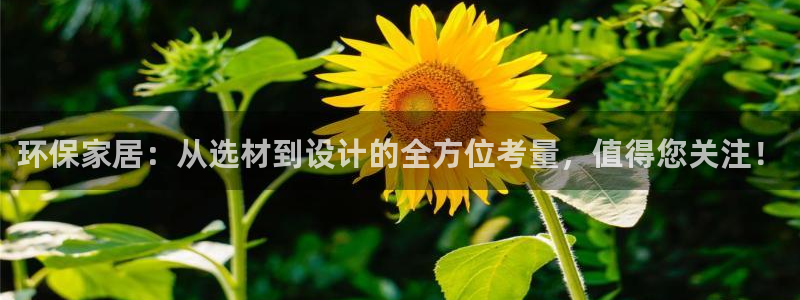 杏耀注册登入：环保家居：从选材到设计的全方位考量，值得您关注