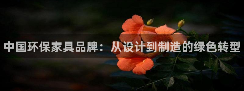 杏耀平台还在吗：中国环保家具品牌：从设计到制造的绿色转型
