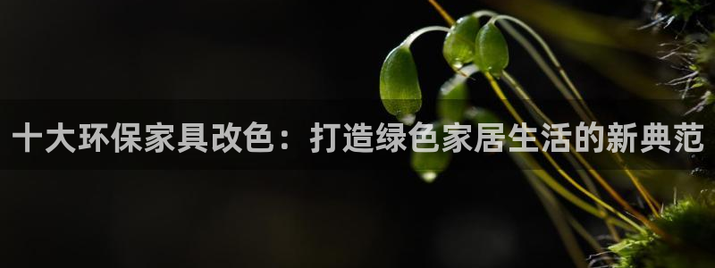 杏耀登陆线路：十大环保家具改色：打造绿色家居生活的新典范