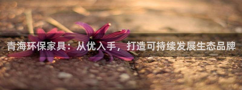 杏耀登陆电脑线路测速：青海环保家具：从优入手，打造可持续发展